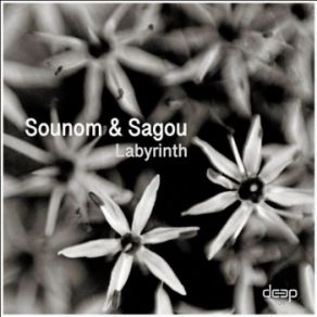 Download track Labyrinth Sagou, Sounom