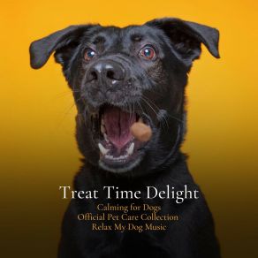 Download track Right Keys For The Right Way To Calm Furbabies Relax My Dog Music