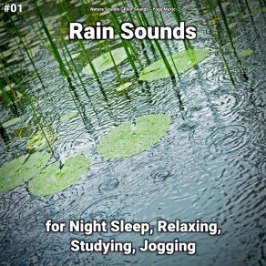 Download track Rain For Calming Yoga Music