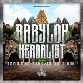 Download track Babylon Herbalist Bassface Sascha, Feindsoul, DJ Phlex