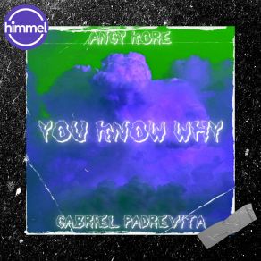 Download track You Know Why (Original Mix) Gabriel Padrevita