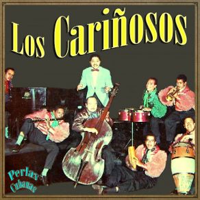 Download track El Disco Rayado Los Carinosos