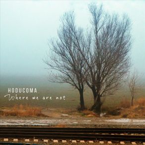 Download track Insane Hoducoma