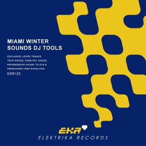 Download track Miami Winter Sounds Arpfill 128 (Tool 14) Ryan Love