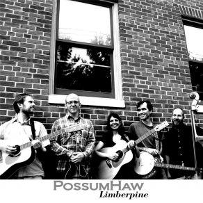 Download track On The Richelieu (Live) PossumHaw