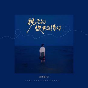 Download track 亲爱的你要过得好 (伴奏版) 王佳音Sgr