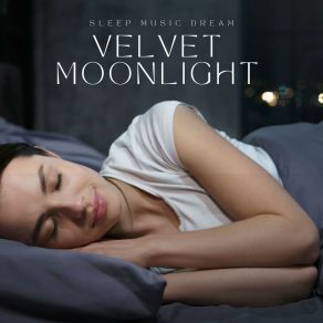 Download track Still Night Sleep Music Dream