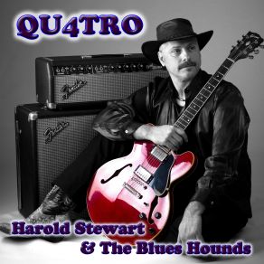 Download track Run Away The Blues Hounds, Harold Stewart