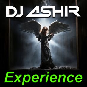 Download track I Feel You DJ Ashir