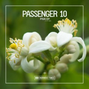 Download track Pisa Passenger 10