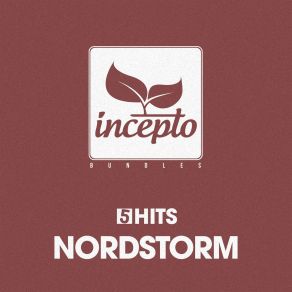 Download track Playing With Fire (Acoustic Edit) Nordstorm