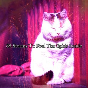 Download track Serene Within The Storm Relaxing Rain Sounds