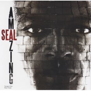 Download track Amazing (Bill Hamel Dub) Seal