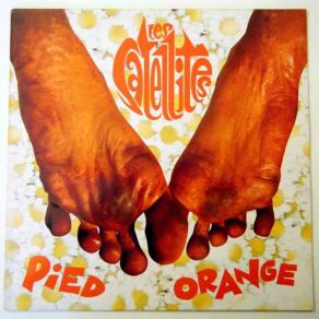 Download track Pieds Orange Les Satellites