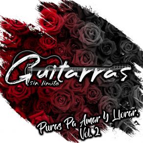 Download track Mi Riqueza Guitarras Sin Limite
