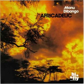 Download track Afro-Soul Manu Dibango