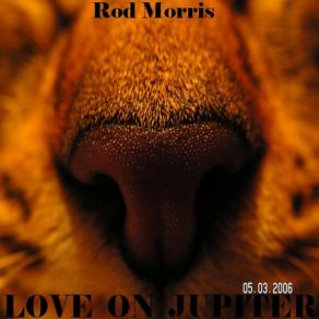 Download track Shoo Be Do Rod Morris