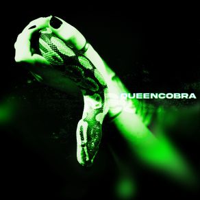 Download track Queen Cobra (Radio Edit) Artio