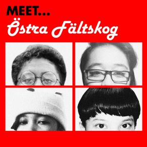 Download track I Need A Man Östra Fältskog