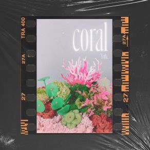 Download track Coral (Radio Edit) Yuihc