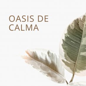 Download track Emisora De Calma Vida Tranquila