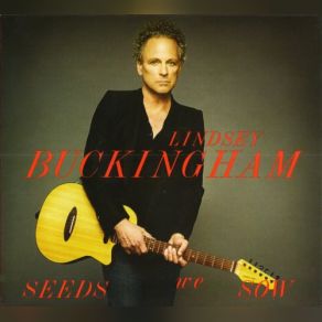 Download track When She Comes Down Lindsey Buckingham