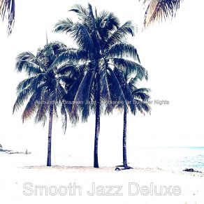 Download track Opulent Summer Nights Smooth Jazz Deluxe