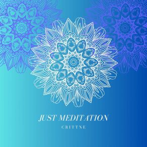 Download track Just Meditation (Radio Edit) Crittne