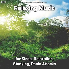 Download track Relaxing Music, Pt. 22 Yoga