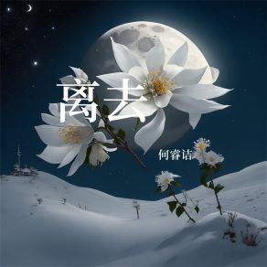 Download track 遗失心脏 何睿诘