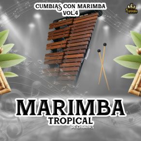 Download track A Donde Iras Marimba Tropical De Chiapas