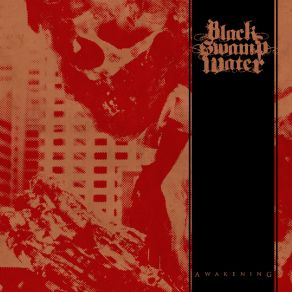 Download track Disappoint Me Black Swamp Water