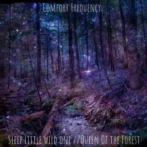 Download track Sleep Little Wild One Comfort Frequency