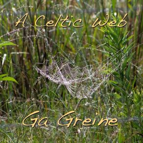 Download track Saint Anne's Reel Ga Greine