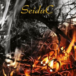 Download track I Say Decide SeiduC