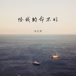 Download track 怪我的命不好 陈艺然