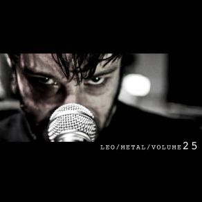 Download track (You Drive Me) Crazy (Metal Version) Léo