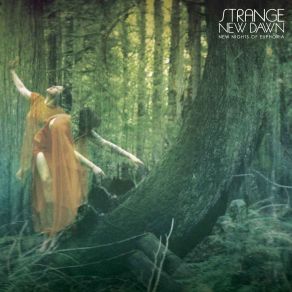 Download track The Wake Of Icons Strange New Dawn