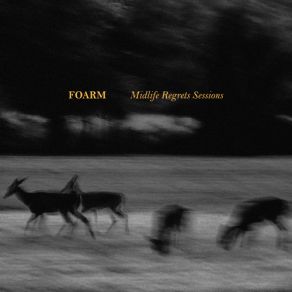 Download track Strangers Foarm