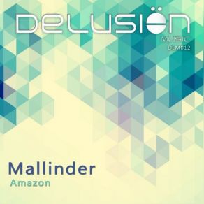 Download track Amazon (Original Mix) Mallinder