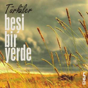 Download track Hasta Oldum Derdune Türküler Beşi Bir Yerde