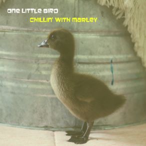 Download track Three Little Birds One Little Bird