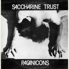 Download track Success And Failure Saccharine Trust