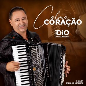 Download track Pra Se Aninhar Banda Sabor Do Nordeste