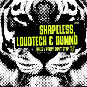 Download track Party Don't Stop (Original Mix) SHAPELESS, Dunno, Loudtech