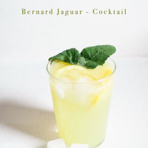 Download track Mojito Bernard Jaguar