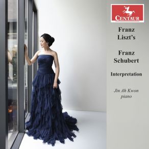 Download track Wanderer Fantasy In C Major, Op. 15, D. 760 (Arr. For Piano By Franz Liszt): IV. Allegro Jin Ah Kwon