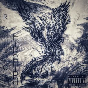 Download track Fire Bird Firebird