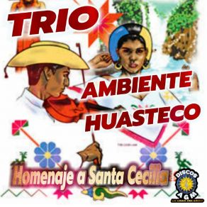 Download track Linda Porteña Trío Ambiente Huasteco