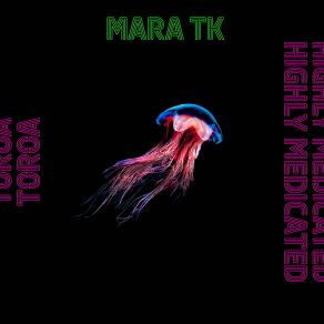 Download track Toroa / The Albatross Mara TK.